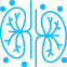 kidneystonetrt-icon